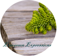 Evergreen expressions logo